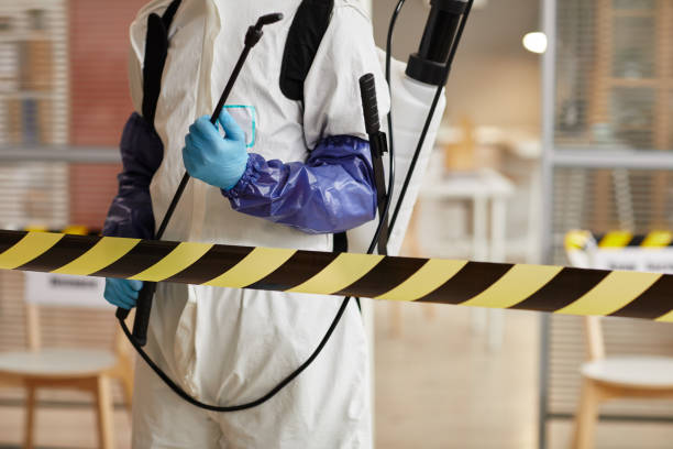 Professional Sewage Cleanup technician working in Lakeville, MA